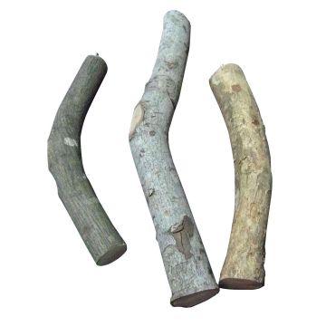 swisspet Holzsitzstange natur, L=45cm