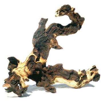 Mopani Holz M 25-35 cm sandgestrahlt
