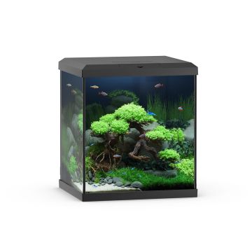 Juwel Aquarium Vio 54 LED, 5W, schwarz