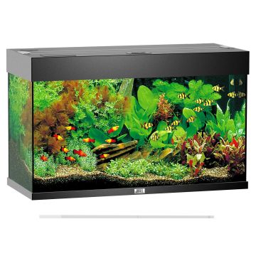Juwel Aquarium Rio 125, 81x36x50cm, sw
