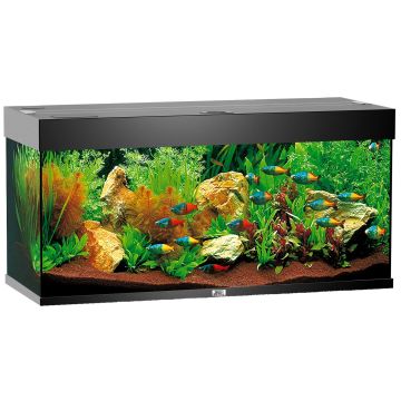Juwel Aquarium Rio 180 101x41x50cm sw