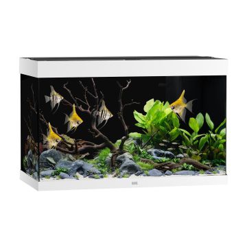 Juwel Aquarium Rio 290 101x51x66cm weiss