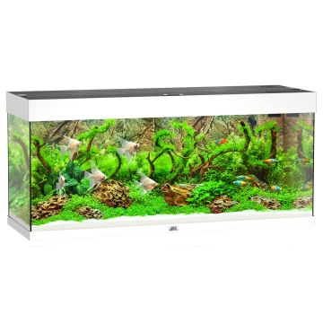 Juwel Aquarium Rio 240,121x41x55cm,weiss