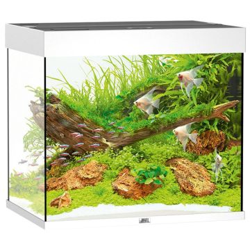 Juwel Aquarium Lido 200, 71x51x65cm, wei