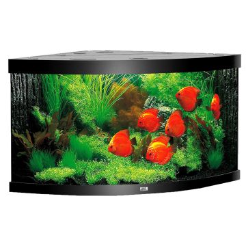 Juwel Aqua. Trigon 350, 123x87x65cm sw