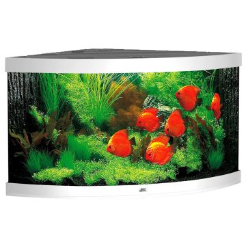 Juwel Aqua. Trigon 350,123x87x65cm, wei
