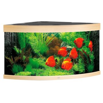 Juwel Trigon Aqua. 350,123x87x65cm, hell
