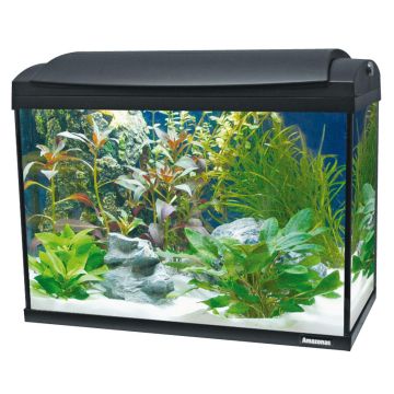 Amazonas Aquarium F75  68 Liter