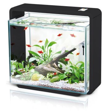Amazonas Aquarium E-40, 34L schwarz
