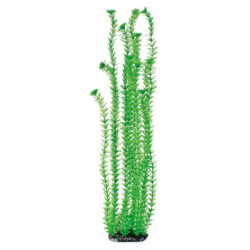 Amazonas Fantasy Plant LP 30cm grün