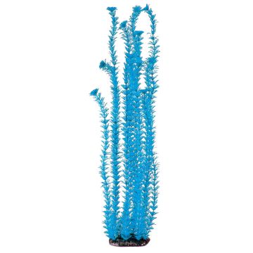 Amazonas Fantasy Plant LP 61cm blau