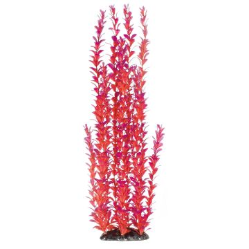 Amazonas Fantasy Plant LP 30cm rot/viol.