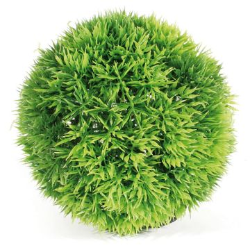 Amazonas Fantasy Plant Nano Ball 1
