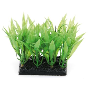 Amazonas Fantasy Plant PP 10cm grün