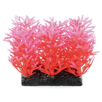 Amazonas Fantasy Plant PP 10cm rosa