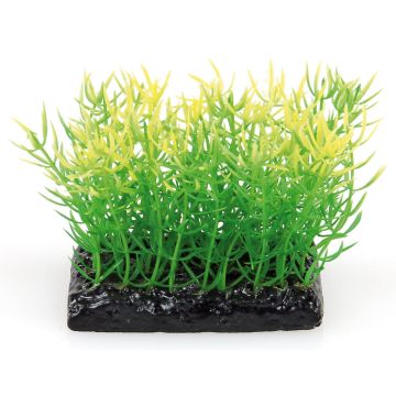 Amazonas Fantasy Plant PP 10 grün/gelb