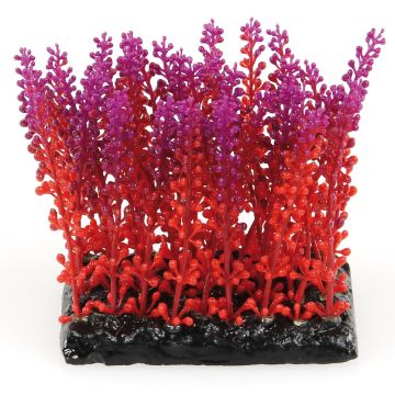 Amazonas Fantasy Plant PP 10 violett/rot