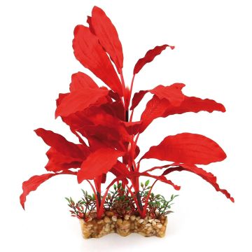 Amazonas Fantasy Plant VBS 30cm rot