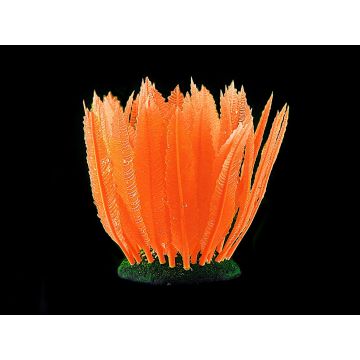 Amazonas Fantasy Plant FLUO Farn orange