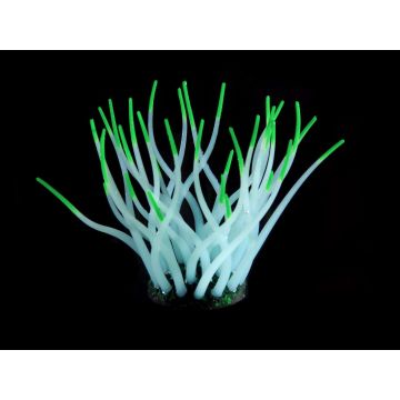 Fantasy PlantFLUO Sea-Anemone hblau/grün