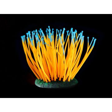 Fantasy PlantFLUO Sea-Anemone orange