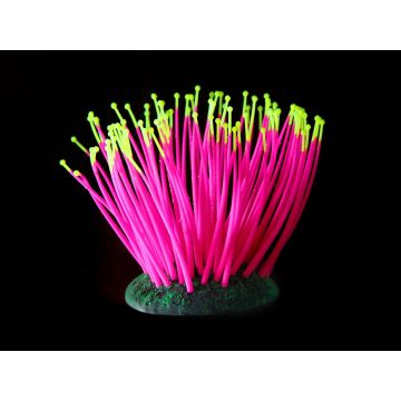 Fantasy PlantFLUO Sea-Anemone pink/gelb