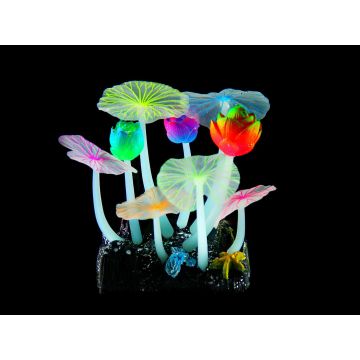 Amazonas Fantasy Plant FLUO Lotus R6,