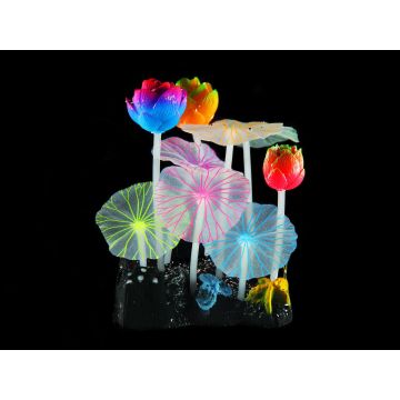 Amazonas Fantasy Plant FLUO Lotus R8,