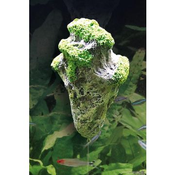 Amazonas Floating Rock Pandora Gr. S