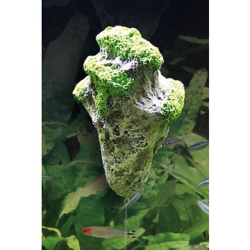 Amazonas Floating Rock Pandora Gr. L