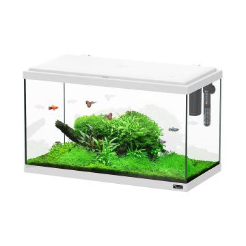 AQTL  Explorer Paris 60 LED, weiss