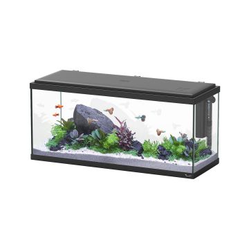 AQTL  Explorer Amsterdam 80 LED, schwarz