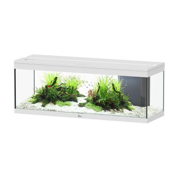 AQTL Prestige 120,120.4x39.9x45.2cm,wei