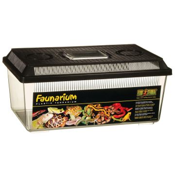 Exo Terra Faunarium flach, M 37x22x25cm