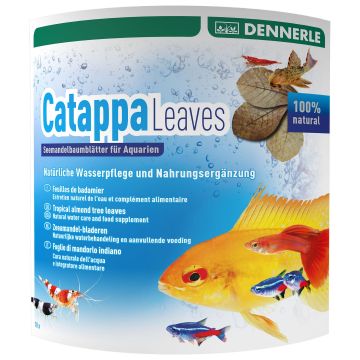 Dennerle AquaRico Catappa Leaves 10 Stk.