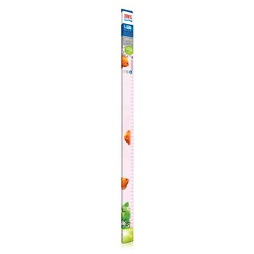 Leuchtstoffröhre LED Color 23W  1200mm
