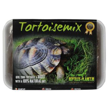 Reptile Planet, Tortoisemix