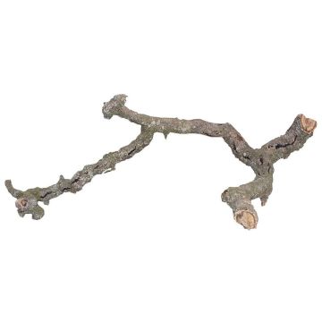 Kork Tronchos  L=ca. 90cm
