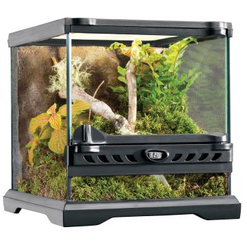 Exo Terra Nano Glas Terrarium 20x20x20cm