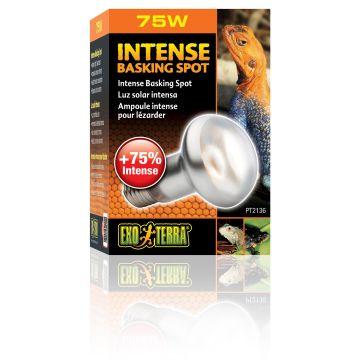Exo Terra Intense Basking Spot S20/75W