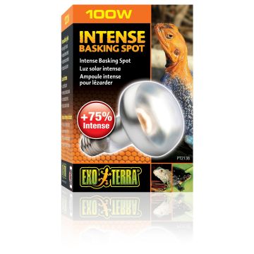 Exo Terra Intense Basking Spot S25/100W