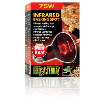 Exo Terra Infrared Basking Spot R20/75W