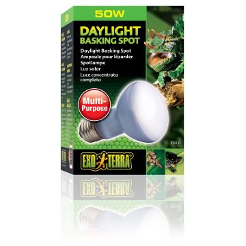 Exo Terra Daylight Basking Spot R20/50W