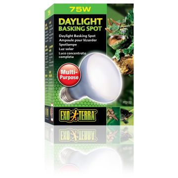 Exo Terra Daylight Basking Spot R20/75W