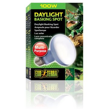 Exo Terra Daylight Basking Spot R25/100W