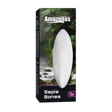 Amazonas Sepiaschale 3 Stk.