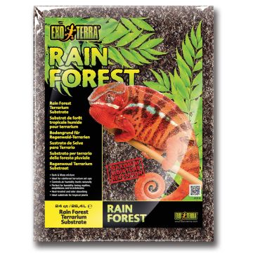 Exo Terra Rain Forest 26.4L