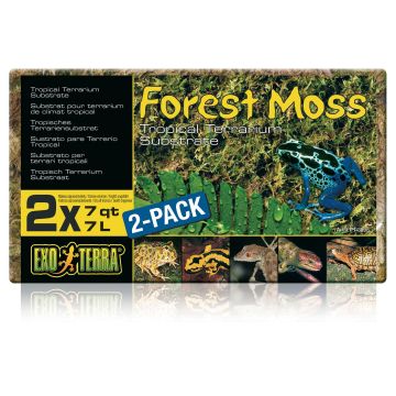 Exo Terra Forest Moss  7L  2er Pack