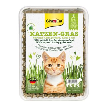 GimCat Katzengras, 150g