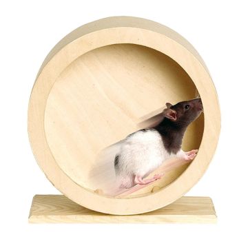 Hamsterlaufrad Roundy aus Holz 29cm